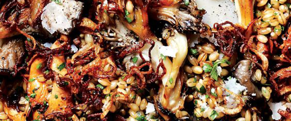 herby-barley-salad-dentist-richmond